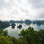 Halong Bay III