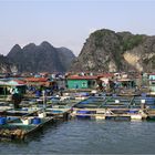 Halong Bay III