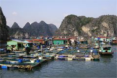 Halong Bay III