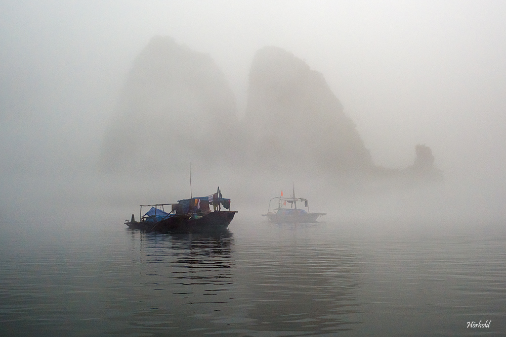 Halong Bay V