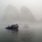 Halong Bay V