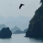 Halong-Bucht