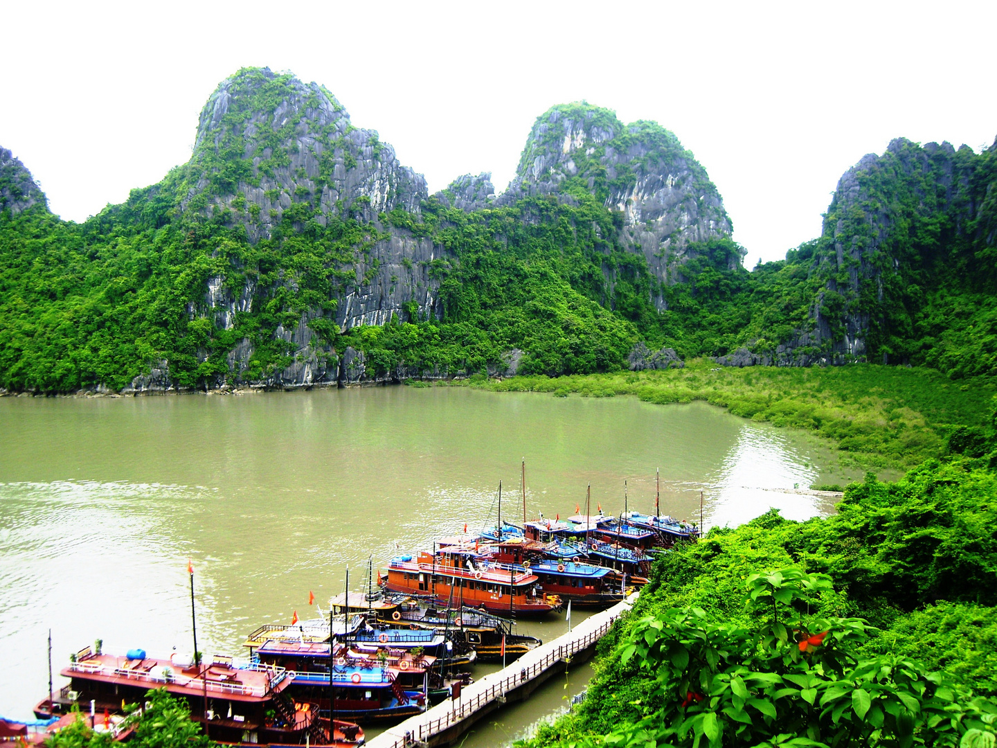 Halong Bucht: Dau Go Cave