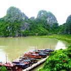 Halong Bucht: Dau Go Cave