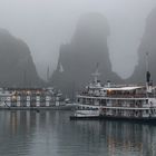 Halong Bucht im Nebel