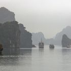 Halong Bucht im Nebel