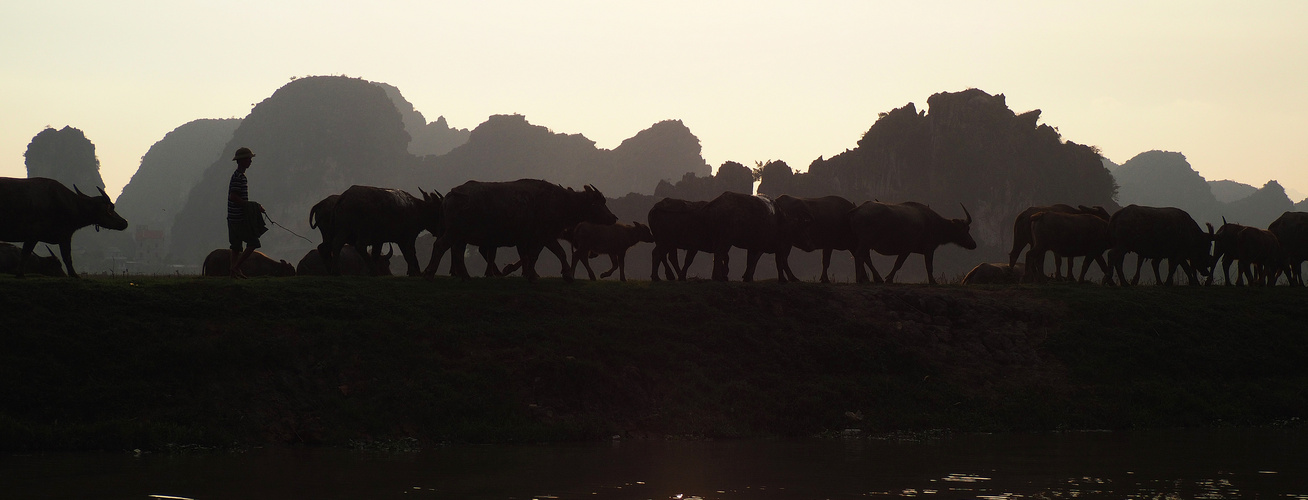 Halong_dry