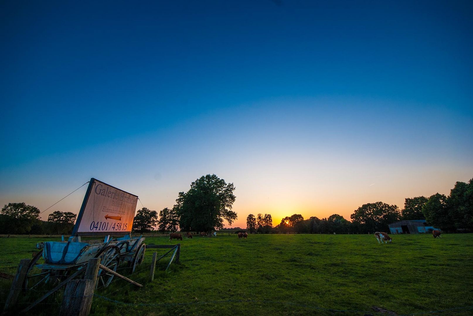 Halsenbeker Abendstimmung