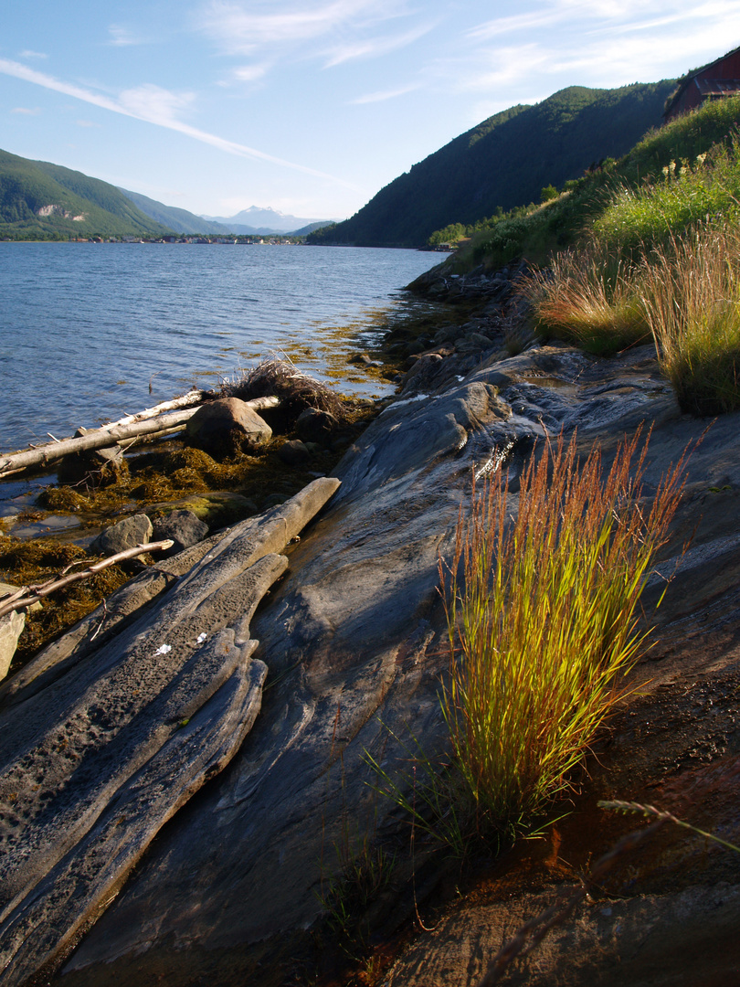 Halsgården shore, Rognan