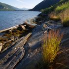 Halsgården shore, Rognan