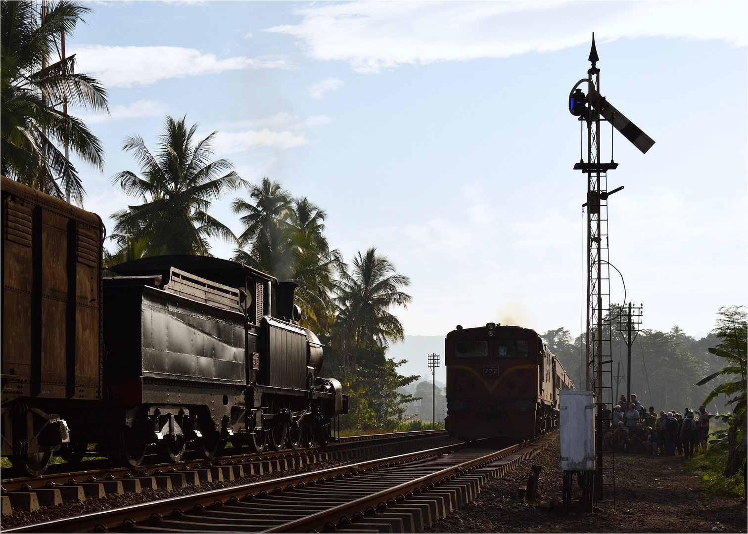 Halt auf freier Strecke  -  Steam Freight to Badulla XXXV