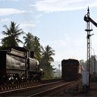 Halt auf freier Strecke  -  Steam Freight to Badulla XXXV