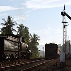 Halt auf freier Strecke  -  Steam Freight to Badulla XXXV