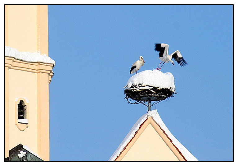 "Halt die Stellung, ich ruf' mal schnell den Räumdienst."