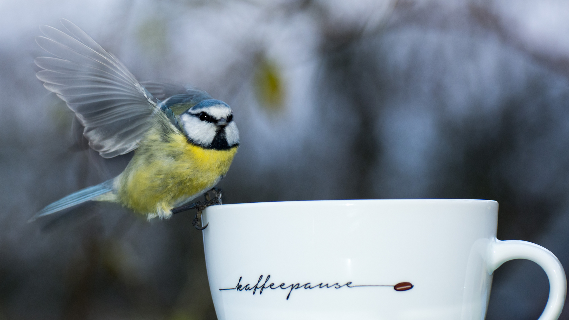 halt ! erst mal kaffeepause