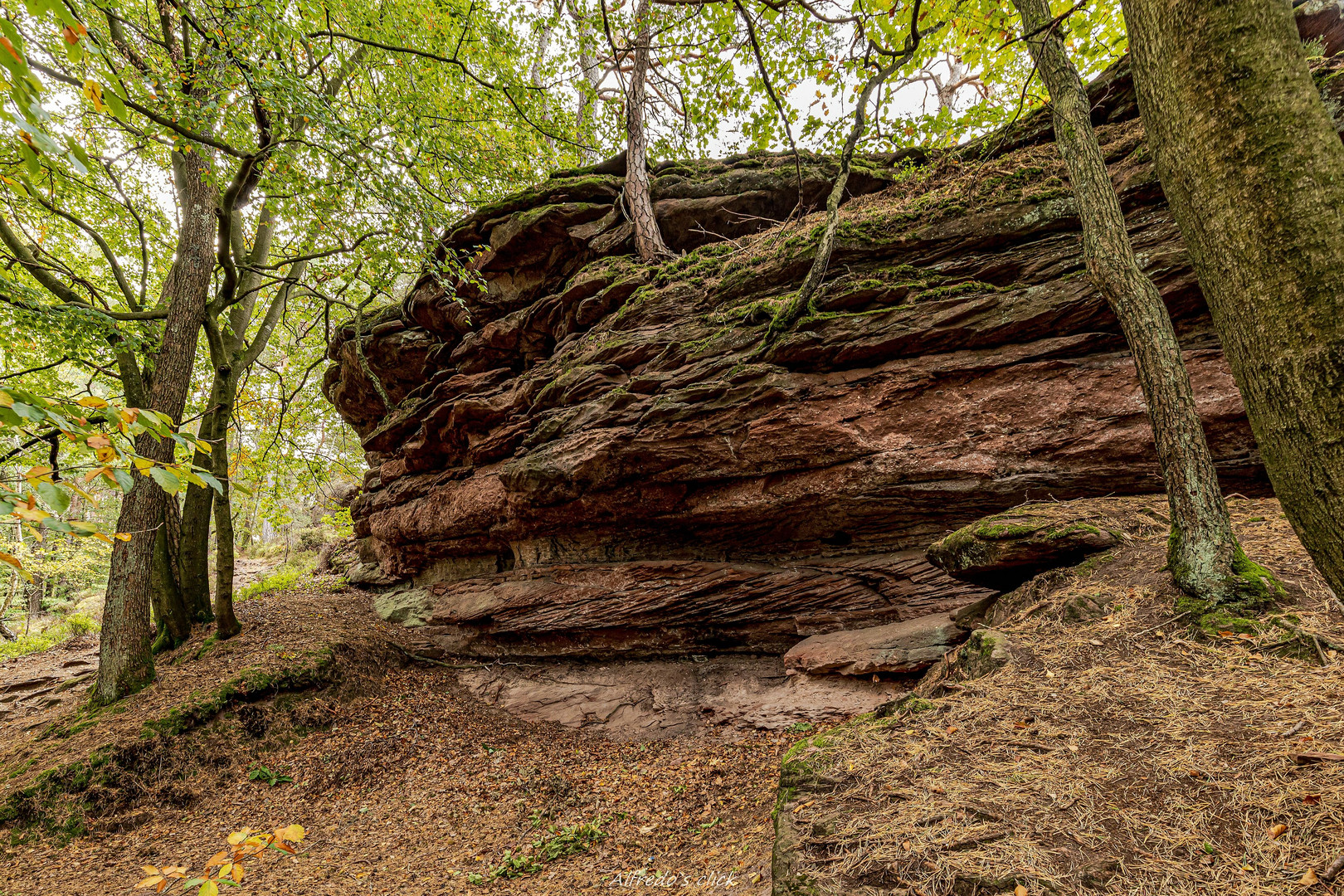 Halt in der Natur