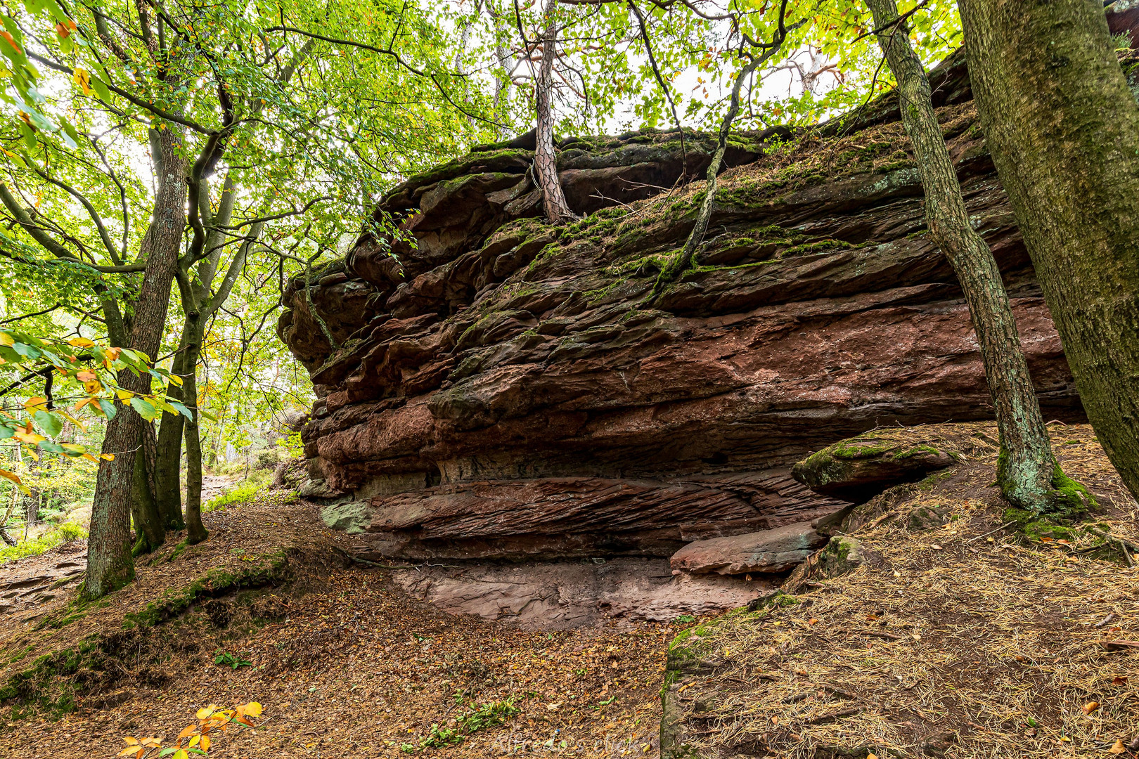 Halt in der Natur-Reloaded