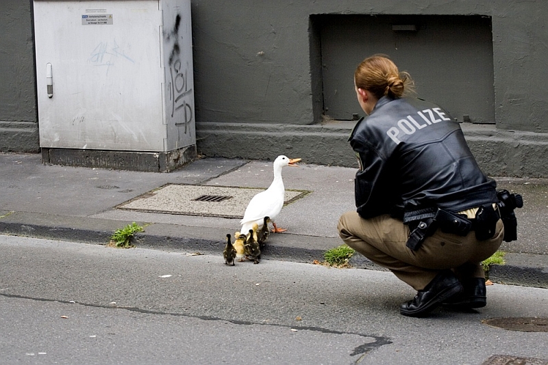 "HALT ! POLIZEI !"