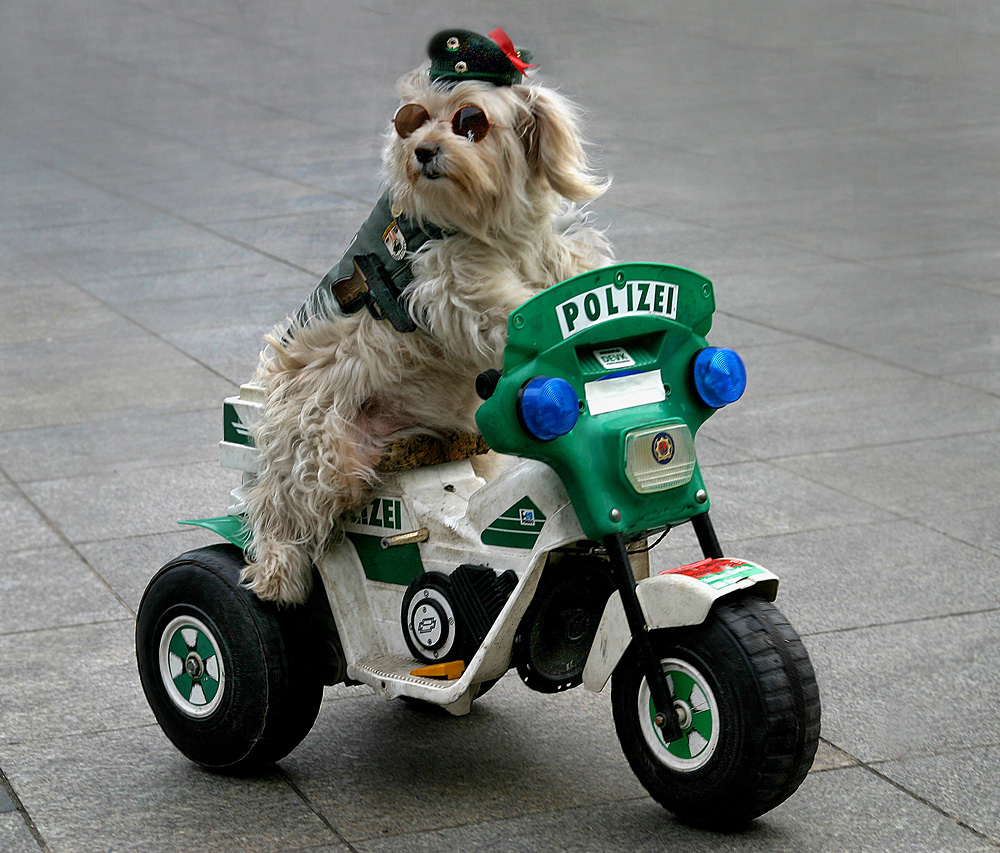 Halt !! - Polizei