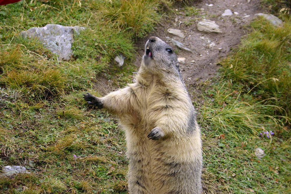 Halt! Zuerst was zum futtern, sonst kommste hier nicht durch(-;