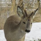 Halte Abstand! ( auf Augenhöhe )