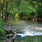 Halte au bord du Fouzon.