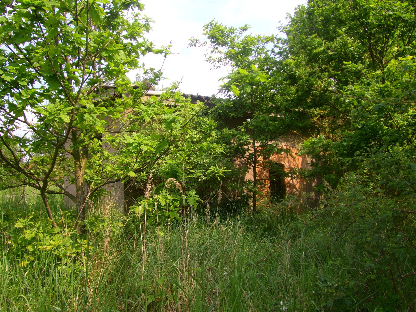 Haltepunkt Schadewohl an der Kleinbahnstrecke Diesdorf-Salzwedel in der Altmark, 21.05.2014