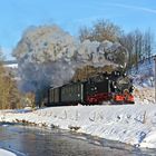 Haltepunkt Wildbach im Winter