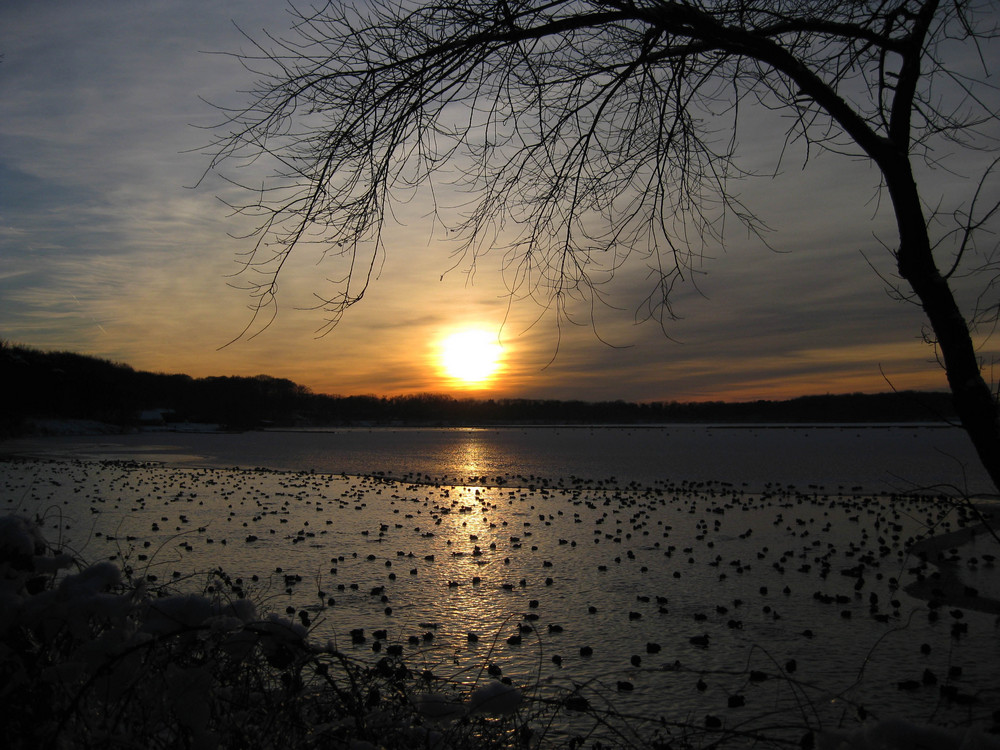 Haltern am See