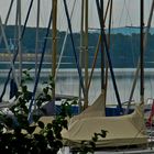 Haltern am See 3