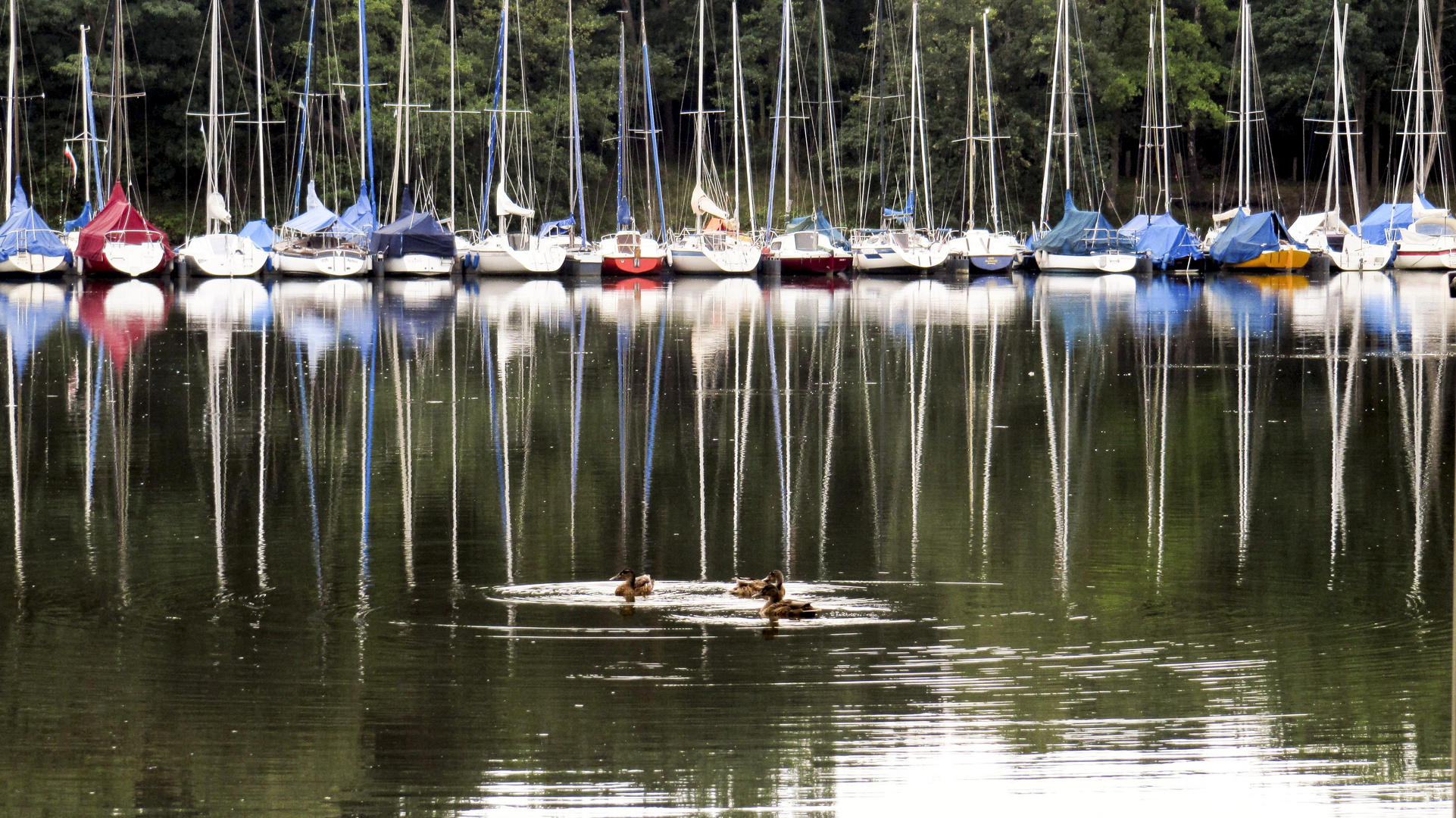 Haltern am See 6