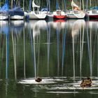 Haltern am See