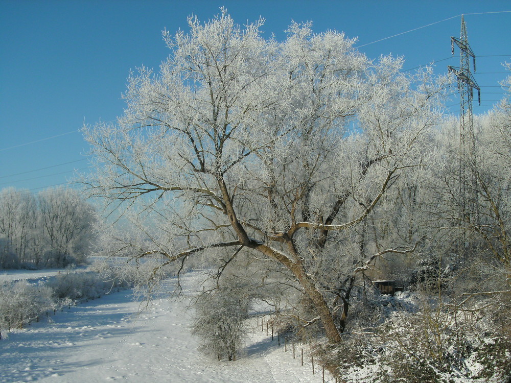 Haltern im Schnee