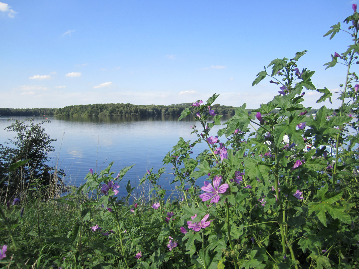 Halterner Stausee