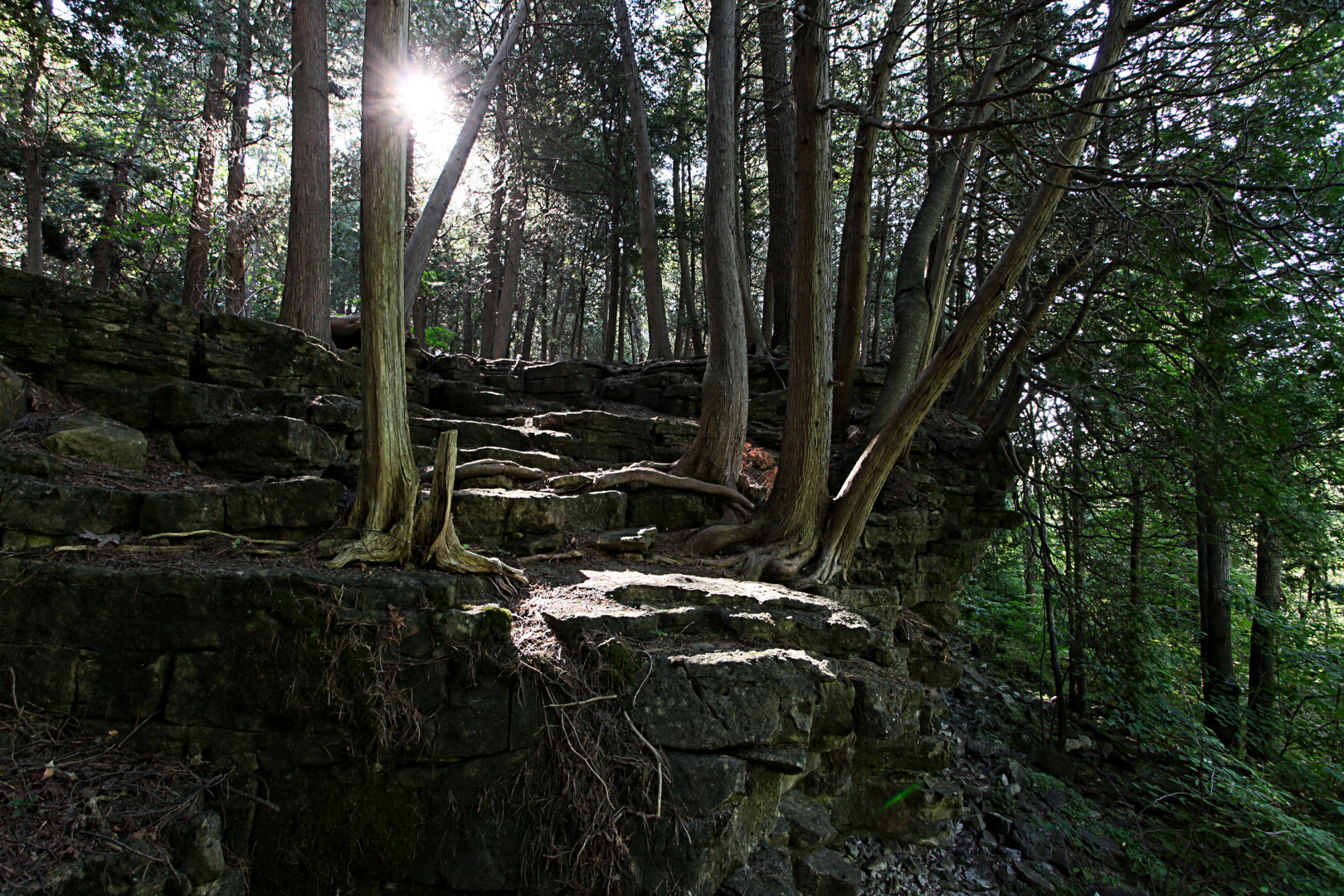 Halton Conservation Area, Ontario