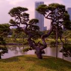 Hama Rikyu garden Tokyo