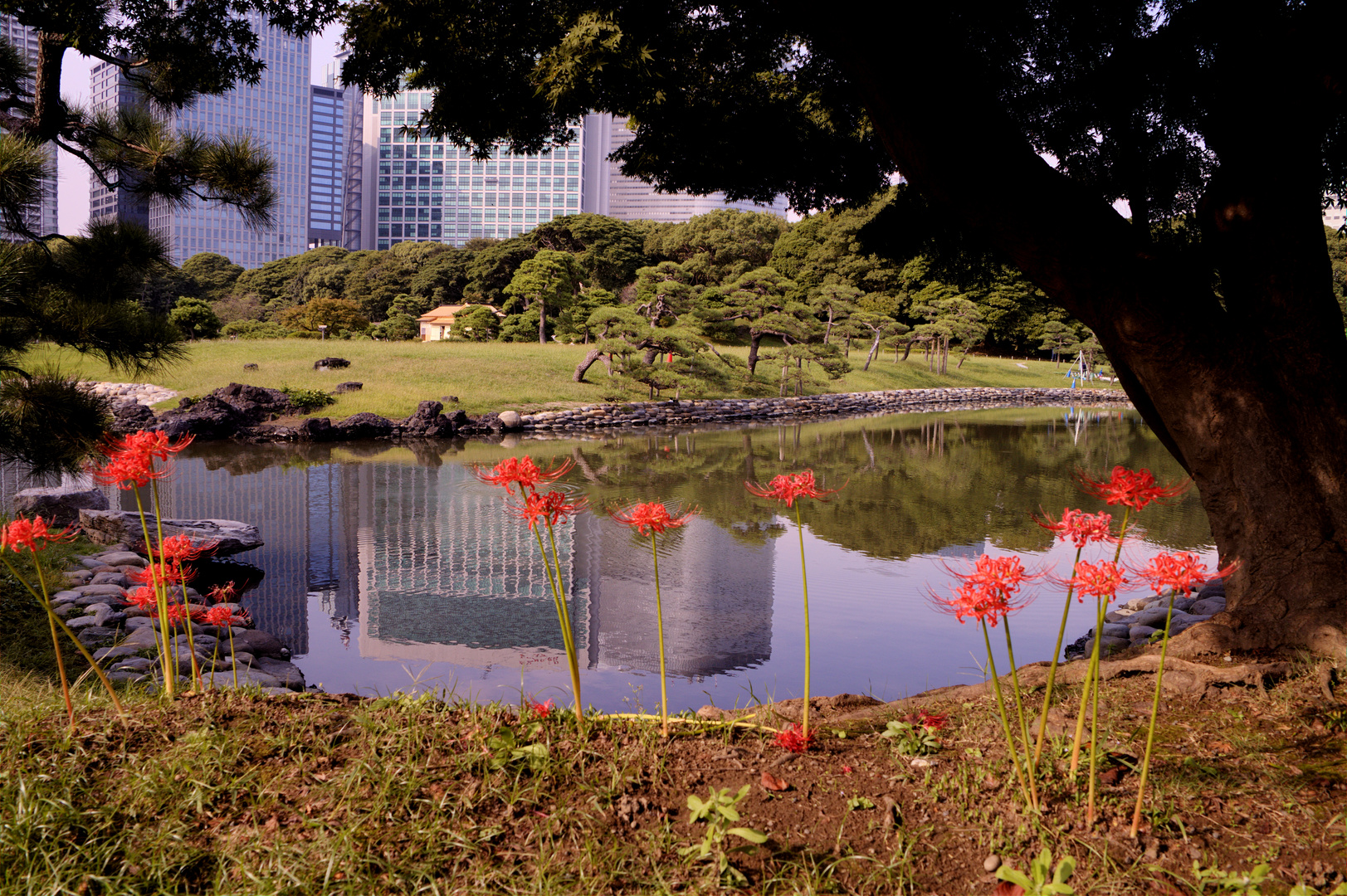 Hama Rikyu Garden Tokyo