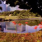 Hama Rikyu Garden Tokyo