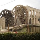 hama syria