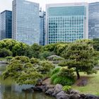 Hamarikyu Park,Tokio