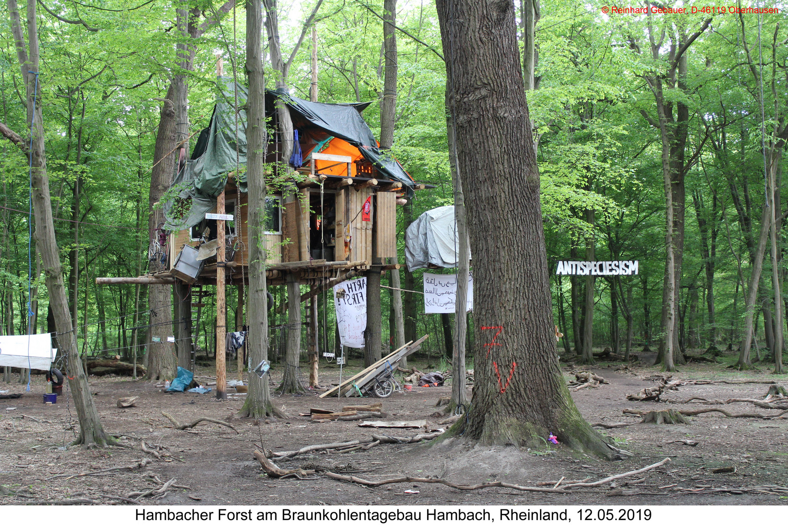 Hambacher Forst, 12.05.2019