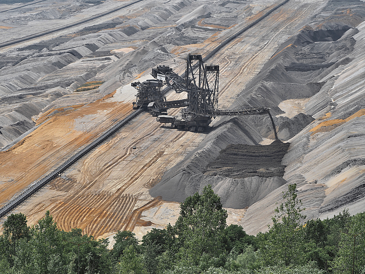 Hambacher Forst 2030