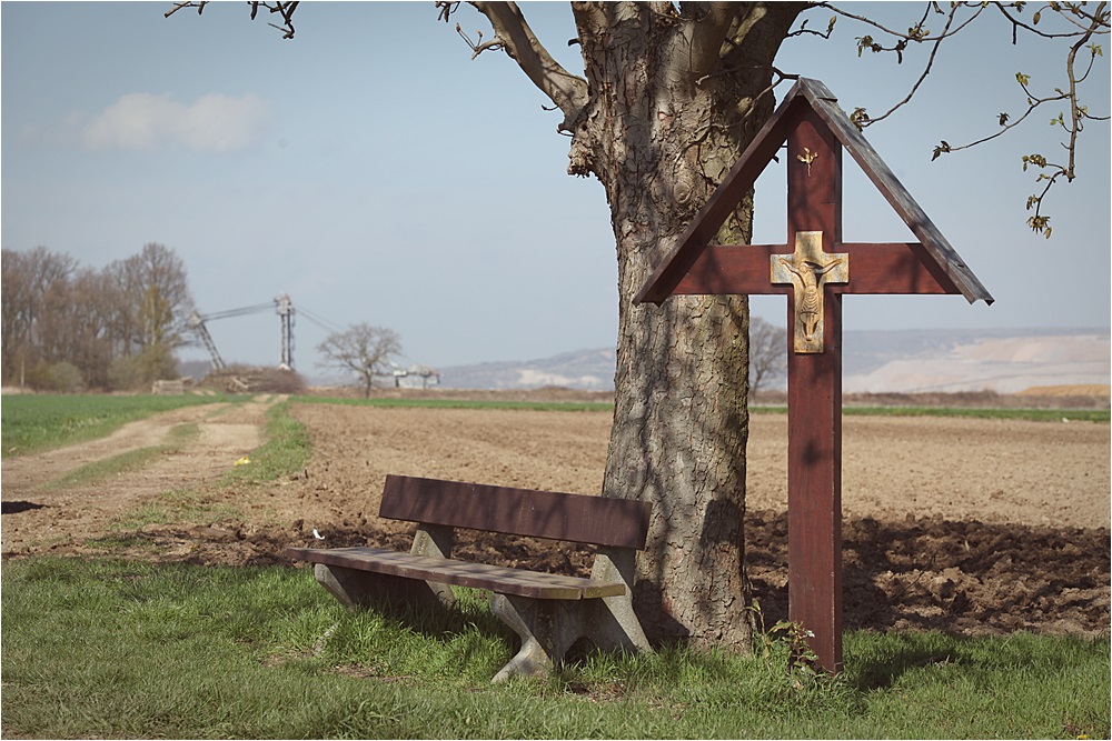 Hambacher Forst