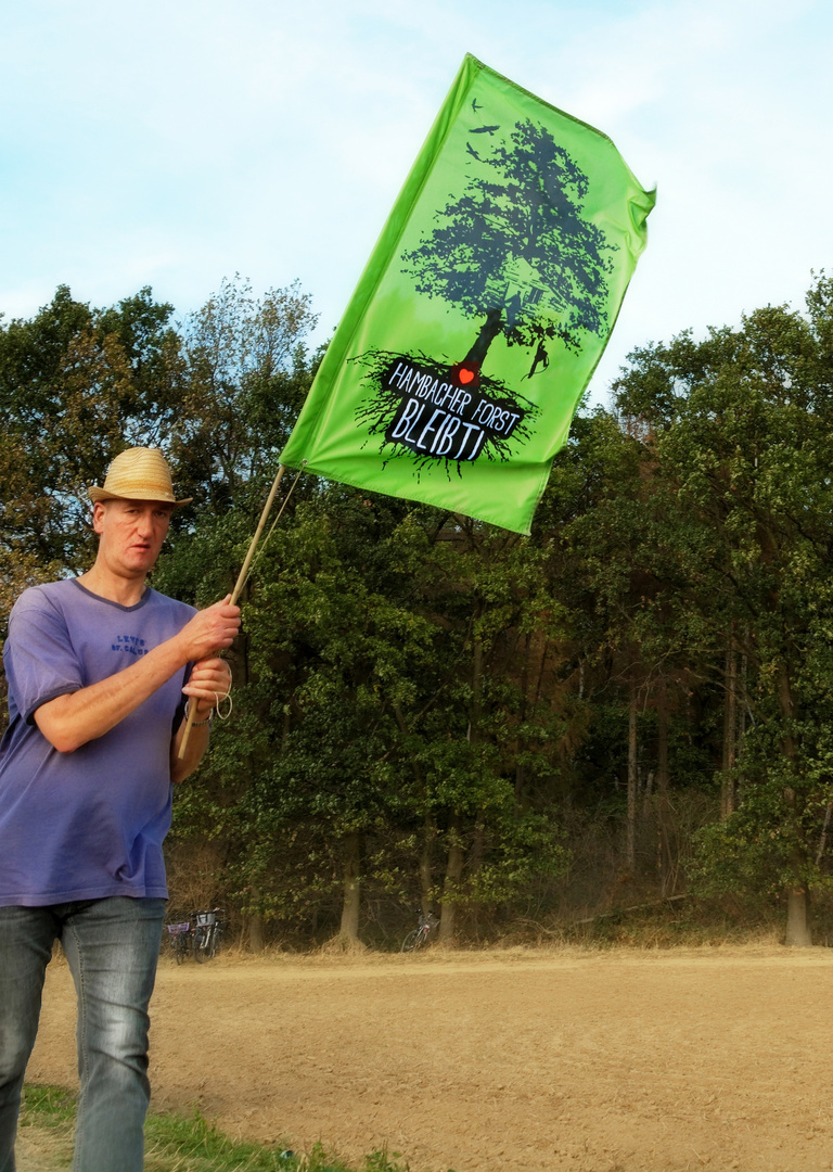 Hambacher Forst bleibt! 