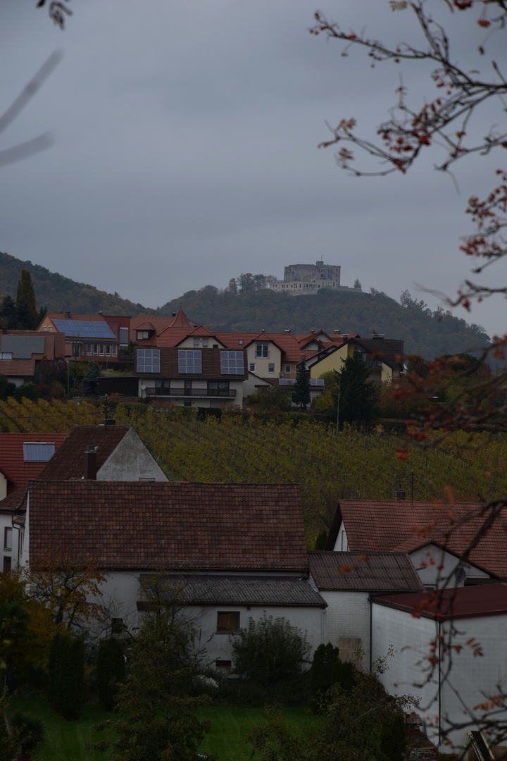 Hambacher Schloss