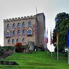 Hambacher Schloss (1)