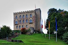 Hambacher Schloss (1)