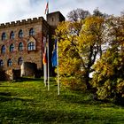 Hambacher Schloss 