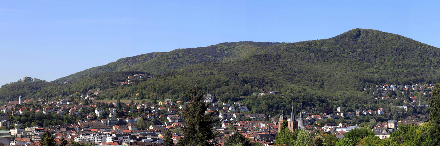 hambacher schloß