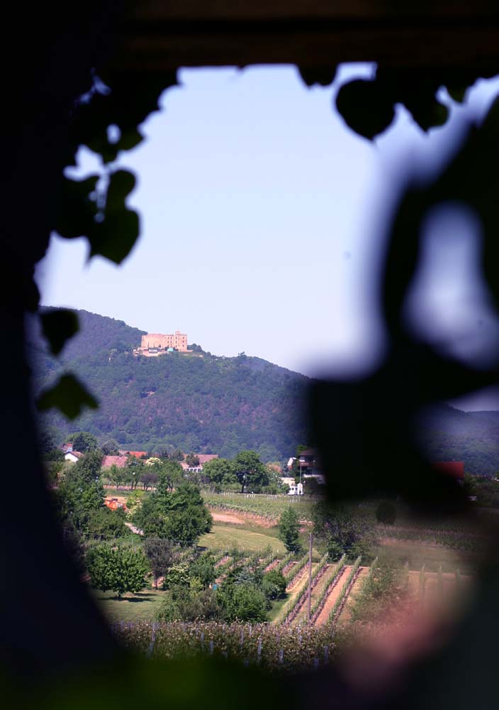 Hambacher Schloß